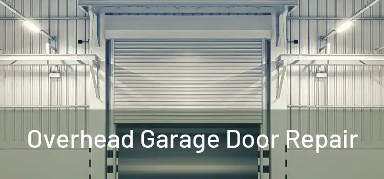  Overhead Garage Door Repair 